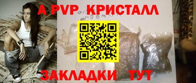 стаф Кунгур