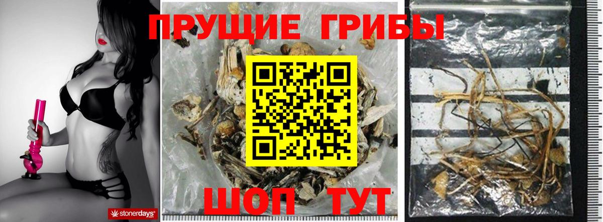 Псилоцибиновые грибы ЛСД  Псилоцибиновые грибы Psilocybe  Гусиноозёрск  купить  сайты  Вход с VPN 